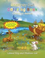 Godfrey Owl: Coloring Book: Colors of Nature