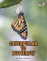 Letter C - Caterpillar to Butterfly for Kids 3-8