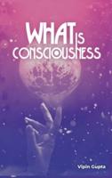 What Is Consciousness