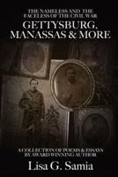 The NAMELESS & The FACELESS of the CIVIL WAR, Gettysburg, Manassas and More