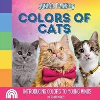 Junior Rainbow, Colors of Cats