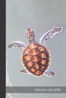 Tortoise Sea Turtle