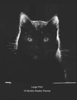 Large Print - 2020 - 15 Months Weekly Planner - Pets - I Love Cats - Black Cat Staring At You