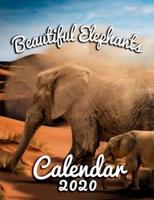 Beautiful Elephants Calendar 2020