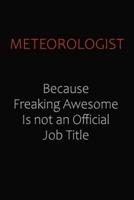 Meteorologist Because Freaking Awesome Is Not An Official Job Title