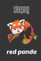 Sleeping Red Panda