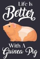 Life Is Better With A Guinea Pig