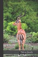 Nature Gazelle
