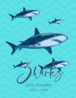 2020 2021 15 Months Sharks Daily Planner