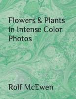 Flowers & Plants in Intense Color Photos