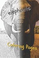 Elephant Coloring Pages