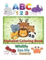 ABC 123 Alphabet Coloring Book