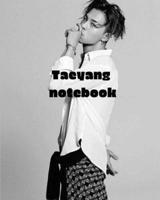 Taeyang Notebook