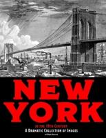 New York in the 19th Century