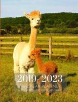 2019-2023 Five Year Planner Llama Goals Monthly Schedule Organizer