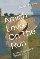 Amish Love On The Run