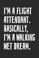 I'm A Flight Attendant. Basically, I'm A Walking Wet Dream