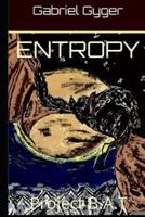 Entropy: Project  B.A.T