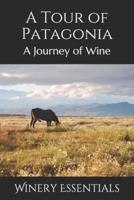 A Tour of Patagonia
