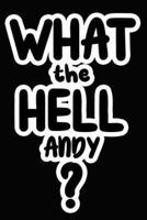What the Hell Andy?