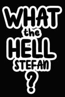 What the Hell Stefan?
