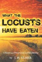 What the Locusts Have Eaten: A Roadmap of Restoration and Relationship