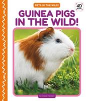 Guinea Pigs in the Wild!