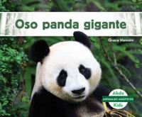 Oso Panda Gigante