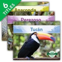 Animales Sudamericanos (Set)
