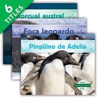 Animales De La Antártida (Set)
