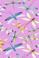 Mid Year Academic Diary For Teachers, Students & Parents With Dragonfly Watercolour Design