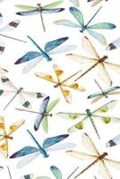 Mid Year Academic Diary For Teachers, Students & Parents With Dragonfly Watercolour Design