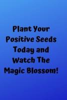 Plant Your Positive Seeds Today And Watch The Magic Blossom!