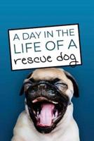 A Day in the Life of a Rescue Dog