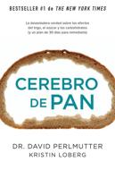 Cerebro De Pan