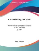 Cacao Planting In Ceylon