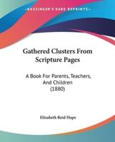 Gathered Clusters From Scripture Pages