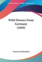 Wild Flowers From Germany (1850)