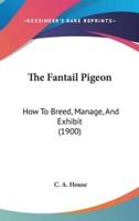 The Fantail Pigeon