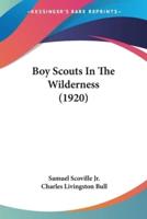 Boy Scouts In The Wilderness (1920)