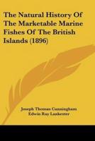 The Natural History Of The Marketable Marine Fishes Of The British Islands (1896)