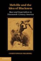 Melville and the Idea of Blackness: Race and Imperialism in Nineteenth Century America
