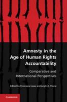 Amnesty in the Age of Human Rights Accountability