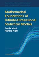 Mathematical Foundations of Infinite-Dimensional Statistical Models