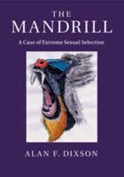The Mandrill
