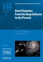 Dwarf Galaxies