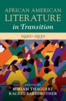 African American Literature in Transition, 1920-1930