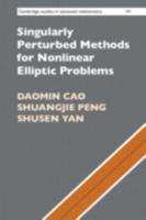 Singularly Perturbed Methods for Nonlinear Elliptic Problems
