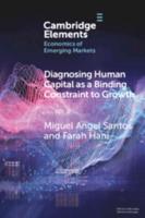 Diagnosing Human Capital as a Binding Constraint to Growth