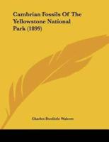 Cambrian Fossils Of The Yellowstone National Park (1899)